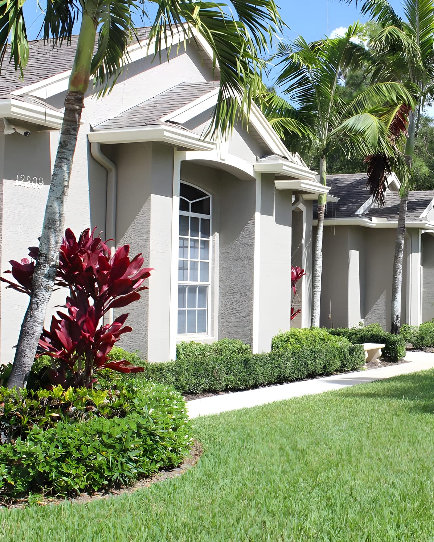 Freshly painted single-family home exteriors with tropical landscaping along the front walk